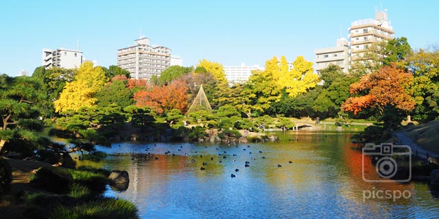 Japan Tokyo: Autumn leaves of Kiyosumi garden (清澄庭園)