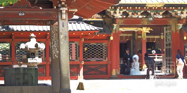Japan Tokyo [BUNKYO-KU] Nezu Jinja Shrine (根津神社)