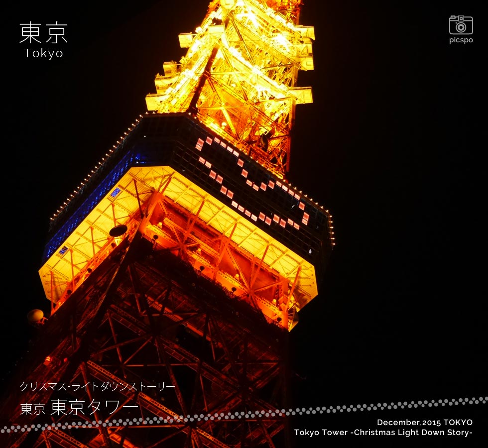 東京タワー クリスマス･ライトダウンストーリー