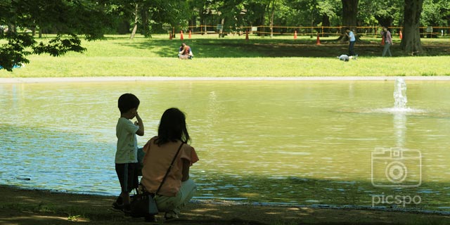 Japan Tokyo [SHIBUYA-KU] Yoyogi Park (代々木公園)