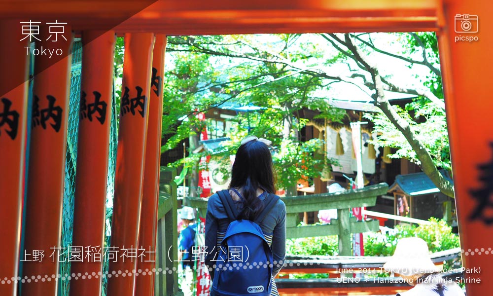 Hanazono Inari Jinja Shrine (花園稲荷神社) red torii