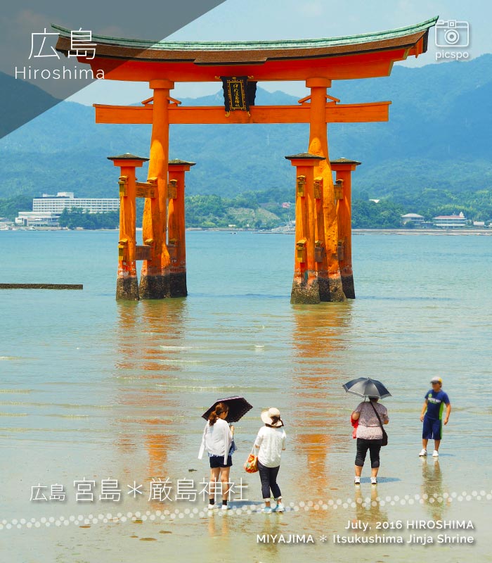 驚きの価格が実現 厳島神社 ステッカー シール Itsukushima Sticker