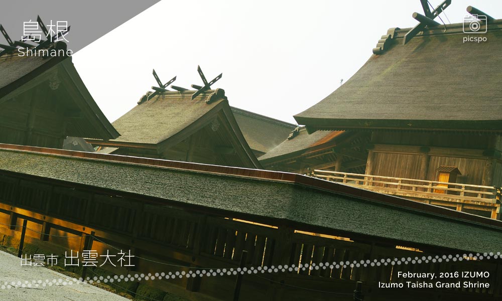Izumo Taisha Shrine (出雲大社)