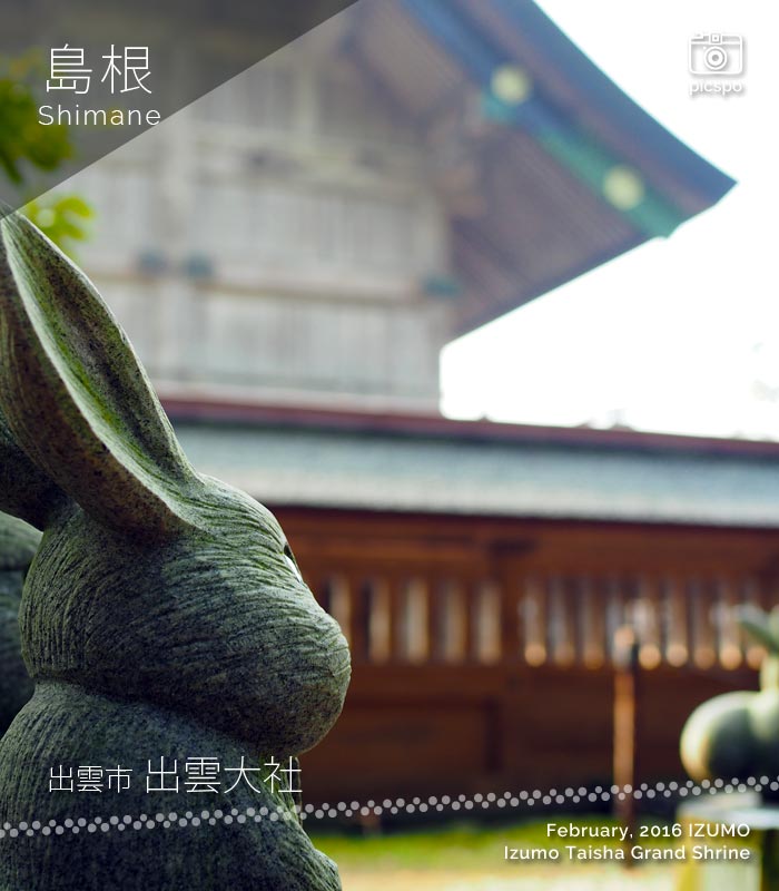 Izumo Taisha Shrine (出雲大社) rabbits