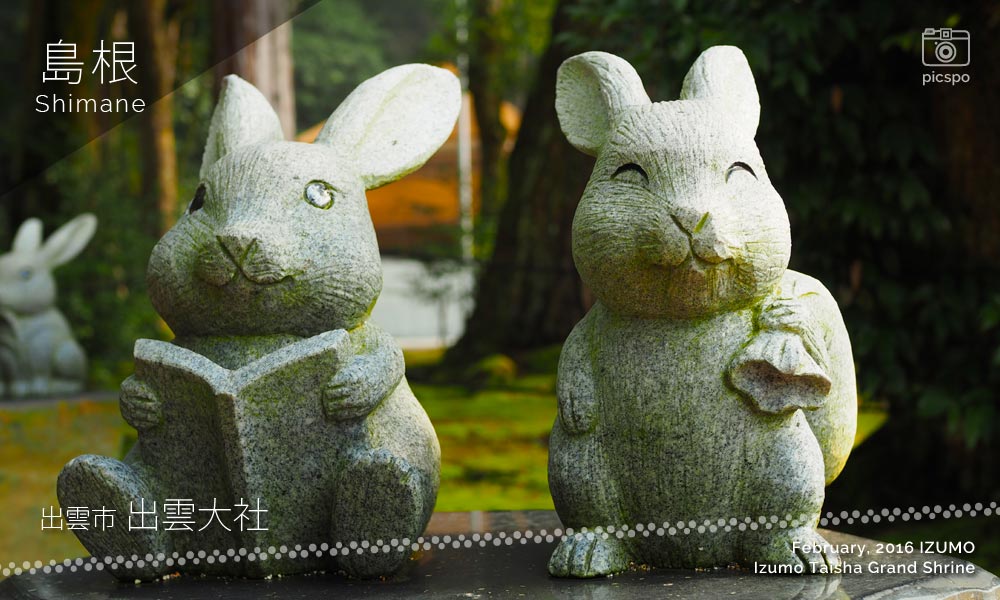 Izumo Taisha Shrine (出雲大社) rabbits