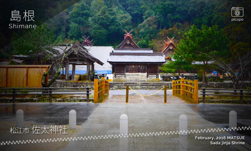 佐太神社の参道