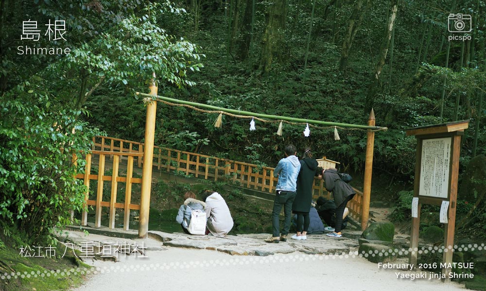 八重垣神社の鏡の池