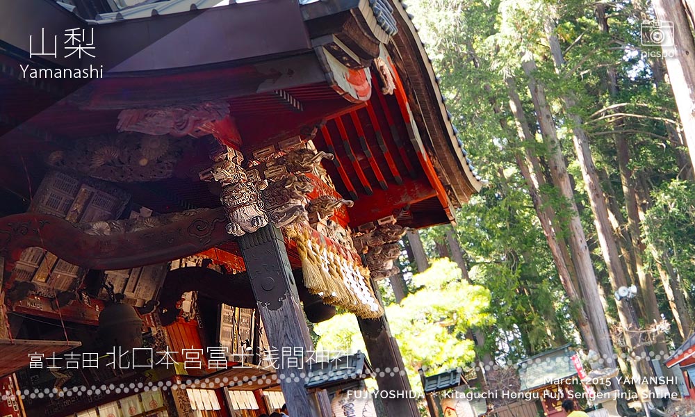 Kitaguchi Hongu Fuji Sengen jinja (北口本宮冨士浅間神社) Shimenawa