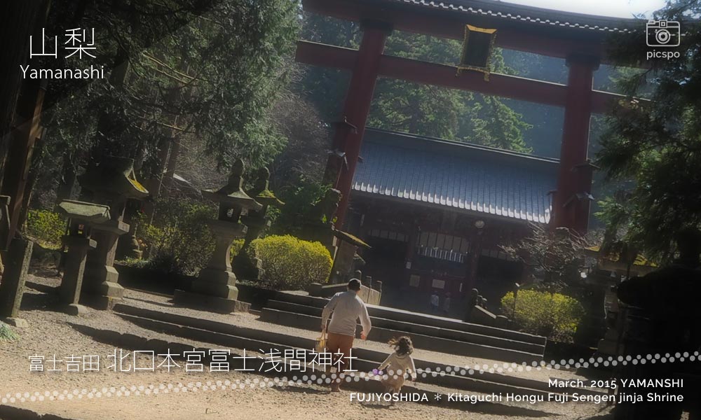 Kitaguchi Hongu Fuji Sengen jinja (北口本宮冨士浅間神社) 大鳥居