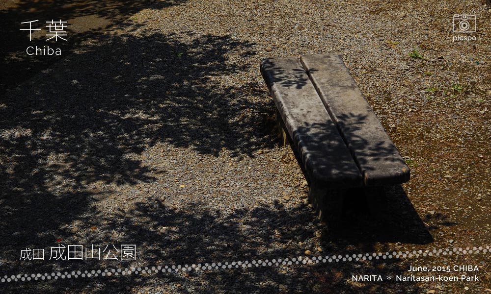 成田山公園：木製ベンチ