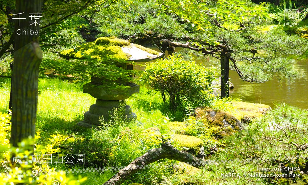 成田山公園の文殊の池
