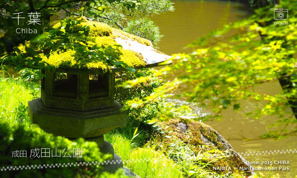 成田山公園の文殊の池