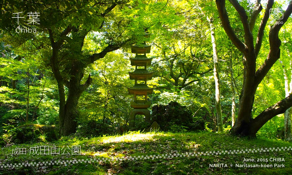 成田山公園の五重石塔
