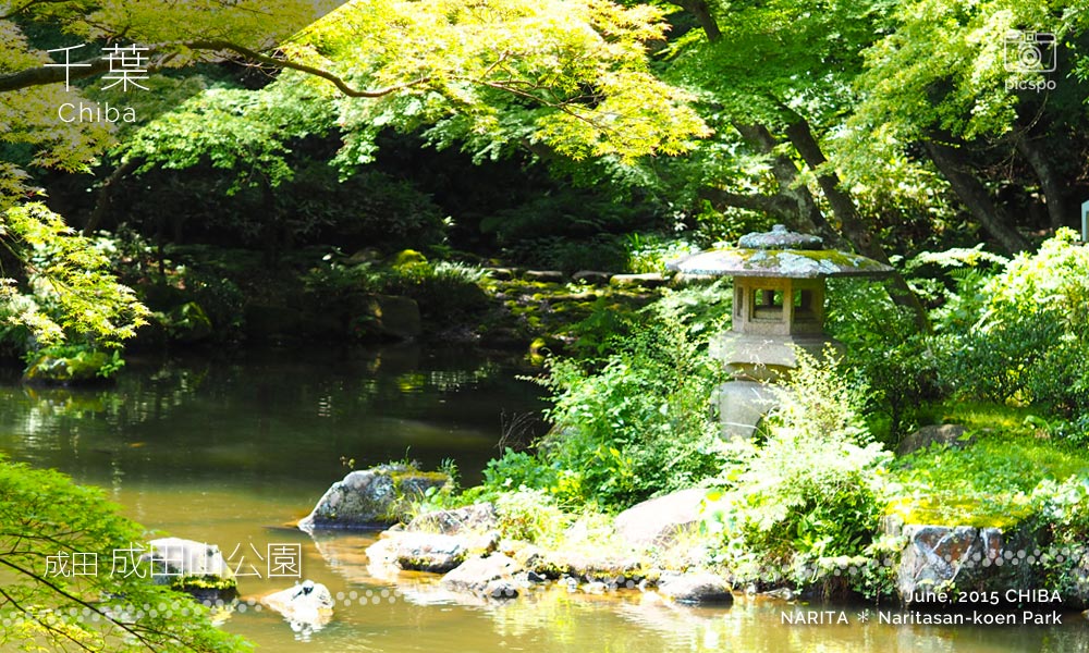 成田山公園の竜樹の池