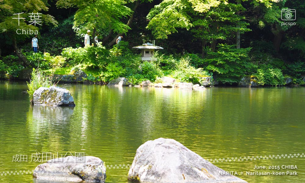 成田山公園の竜樹の池