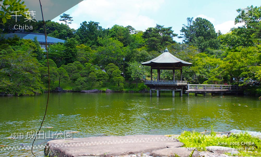 成田山公園の竜智の池