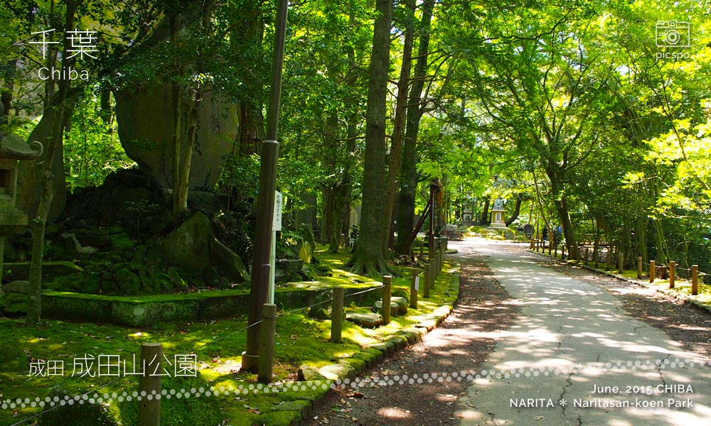 成田山公園の園路