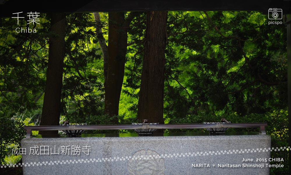 成田山新勝寺：平和の大塔の手水舎