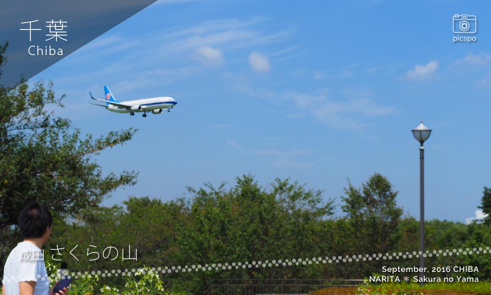 成田のさくらの山公園で見る飛行機