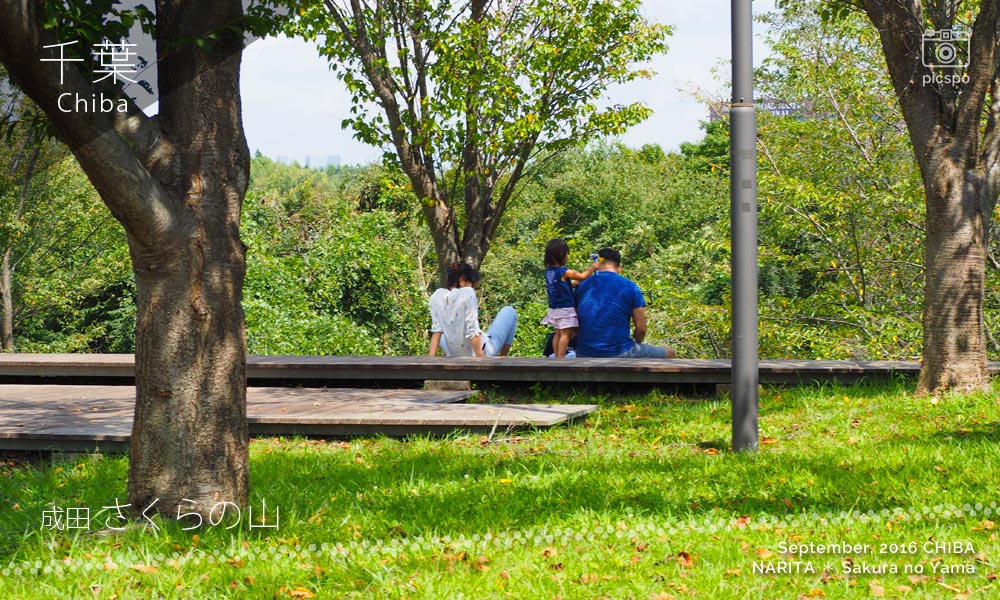 成田のさくらの山公園でくつろぐ家族