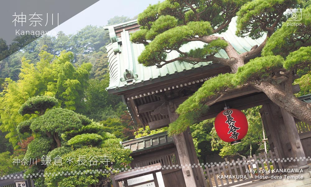 鎌倉･長谷寺の山門