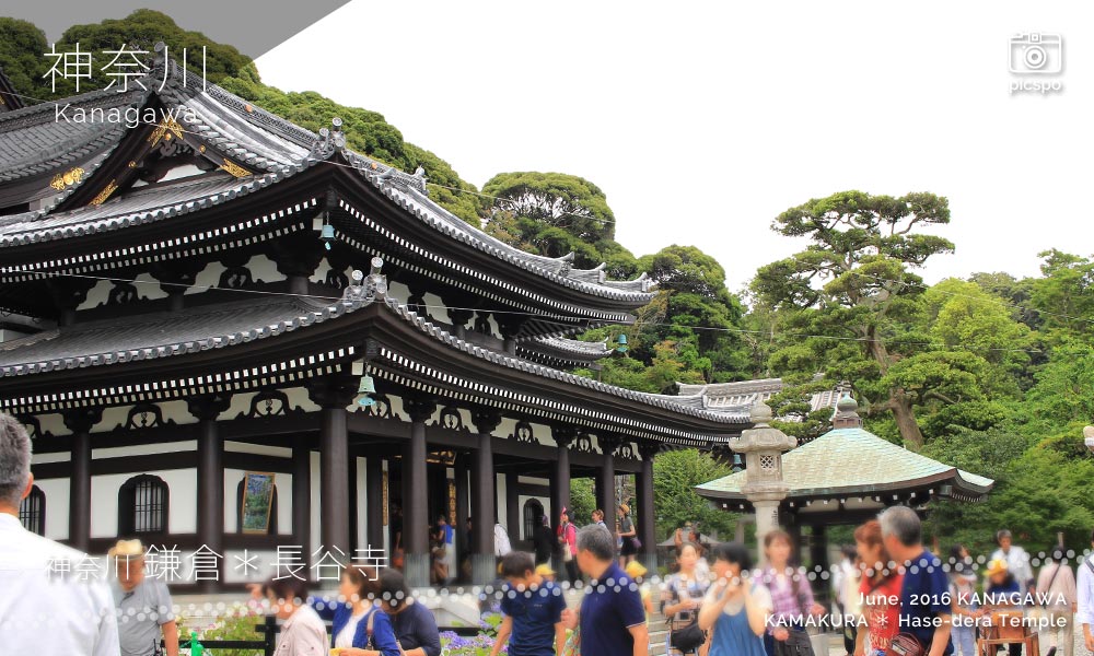 鎌倉･長谷寺の観音堂前