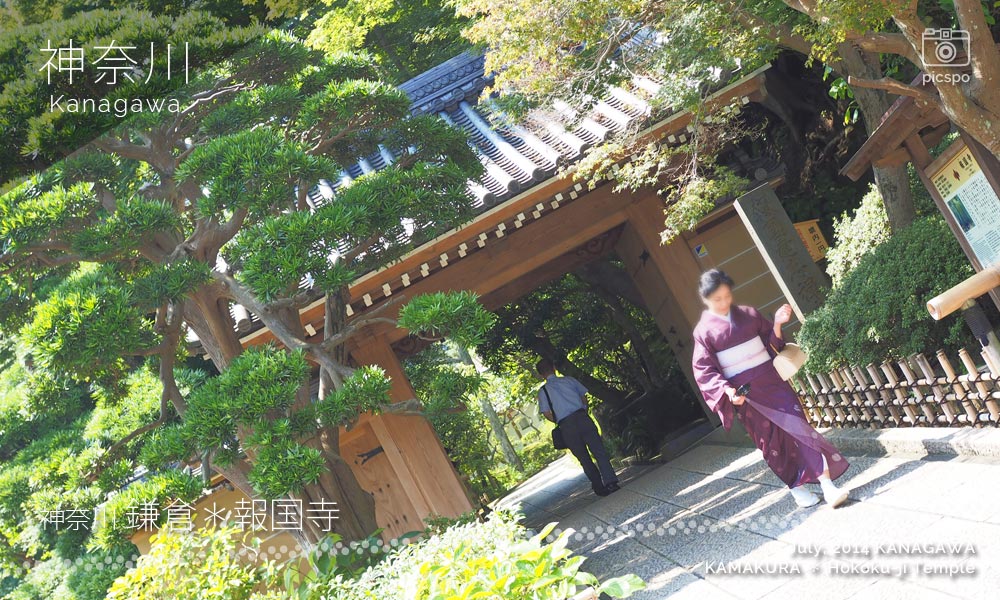 Kamakura, Hokoku-ji Temple (報国寺) San-mon Gate