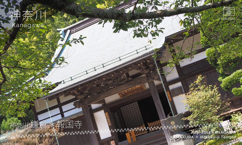 鎌倉 報国寺の本堂