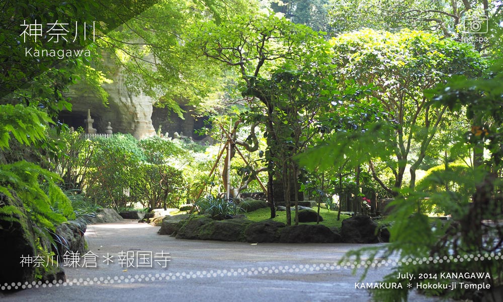 Kamakura, Hokoku-ji Temple (報国寺) Bamboo Garden