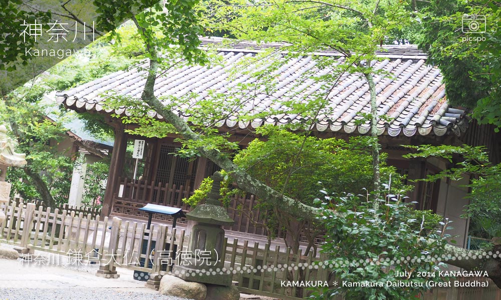 鎌倉大仏：高徳院の観月堂