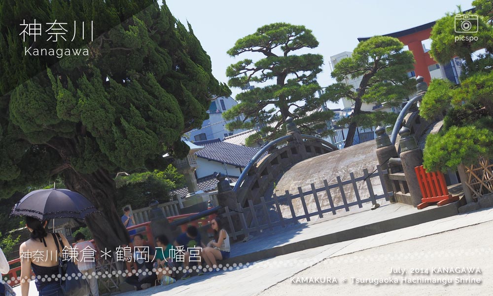 鎌倉･鶴岡八幡宮の太鼓橋