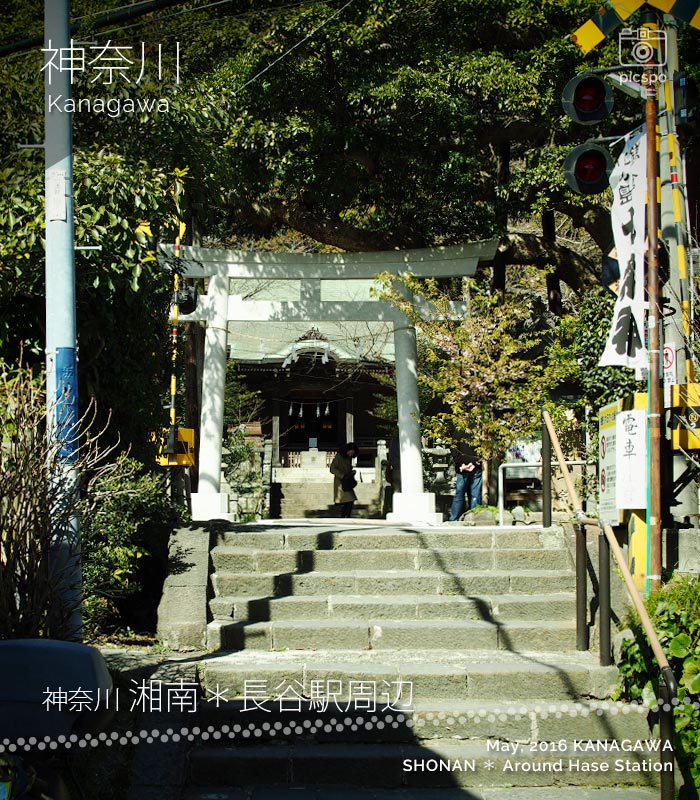 江の電沿線歩き☆御霊神社