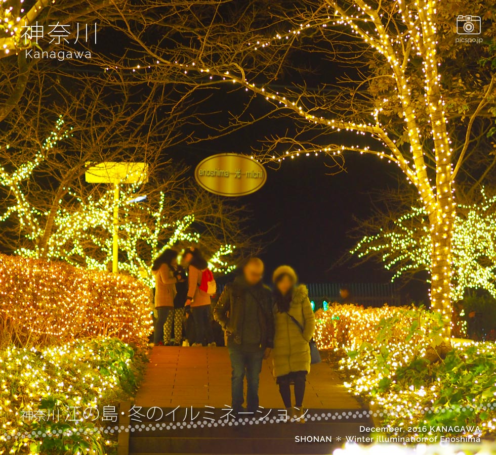 江の島 冬のイルミネーション：亀ヶ岡広場