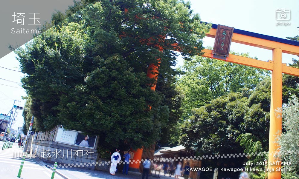 가와고에 (川越) 의 히카와 진자 (氷川神社) : 오도리이 (大鳥居 / 큰 도리이)