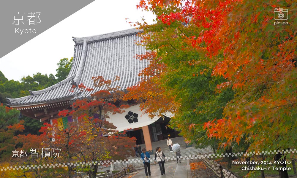 京都：智積院の金堂