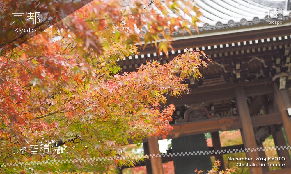 京都：智積院の鐘楼堂