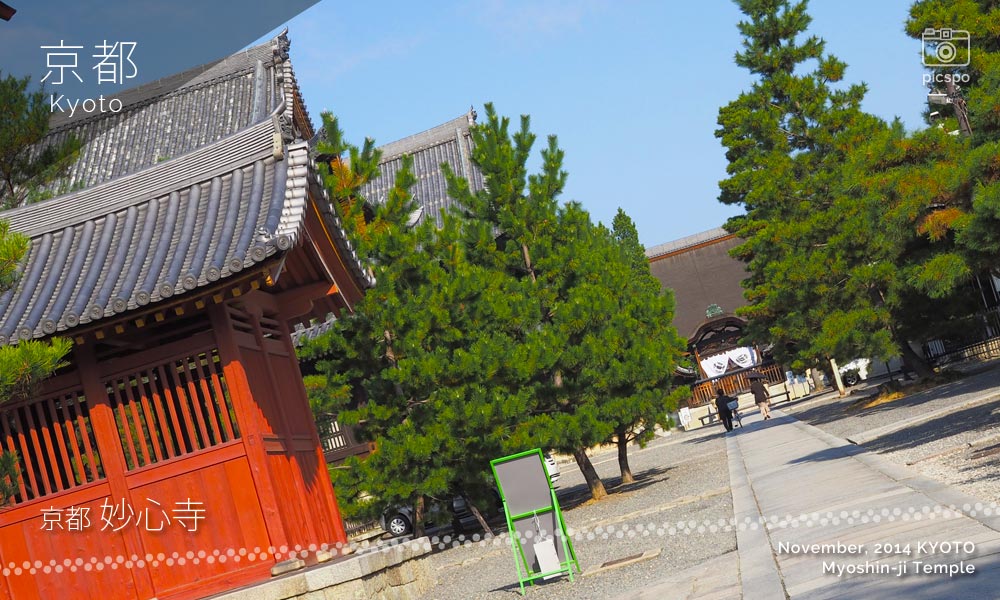京都：妙心寺の大方丈