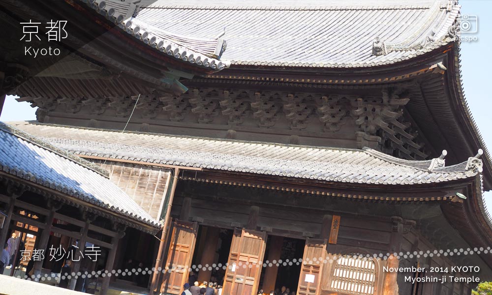 京都：妙心寺の法堂