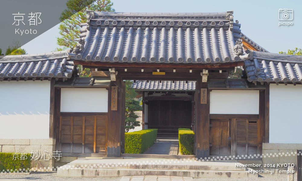 京都：妙心寺の慈雲院