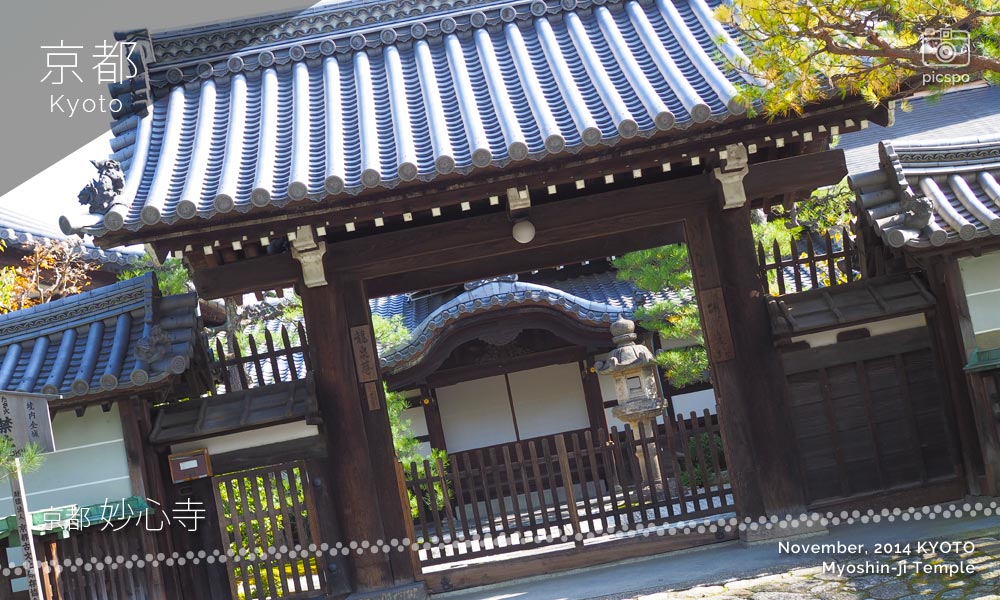 京都：妙心寺の龍泉庵