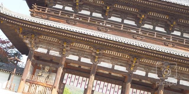 京都：仁和寺