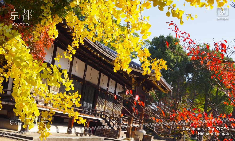 京都：仁和寺の金堂