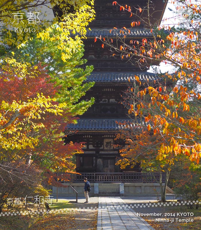 京都：仁和寺の五重塔