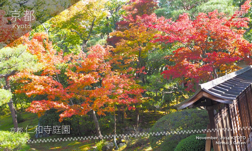 京都：仁和寺御殿の宸殿