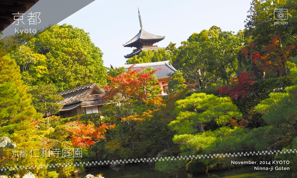 京都：仁和寺御殿の北庭