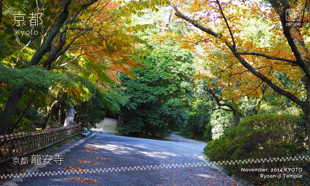 京都：龍安寺の参道