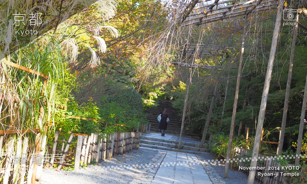 京都：龍安寺の参道