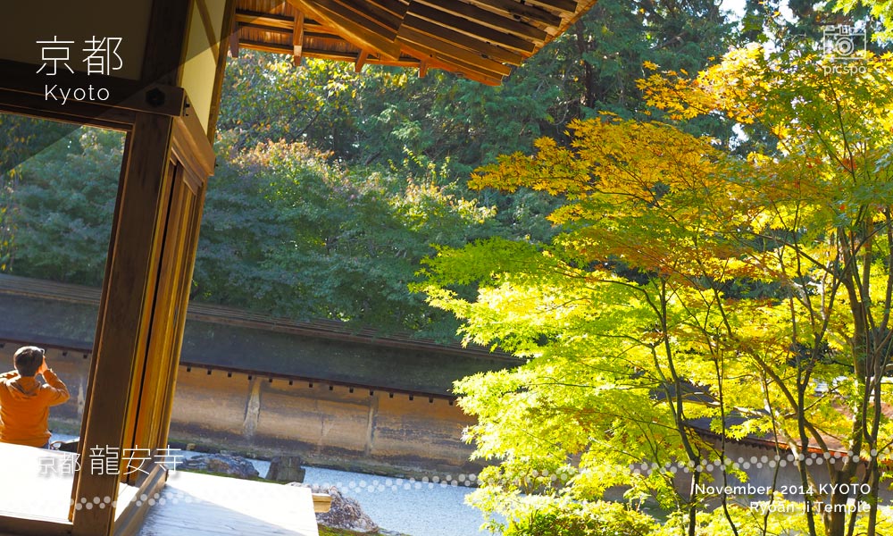 京都：龍安寺の枯山水庭園