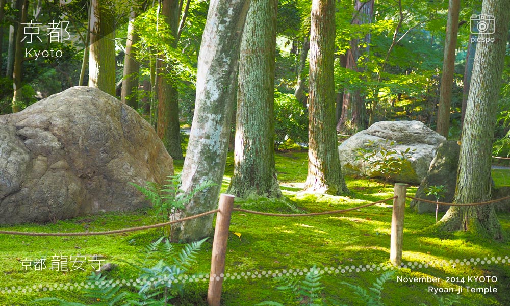 京都：龍安寺の森