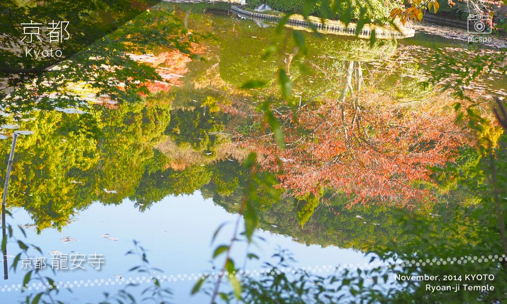 京都：龍安寺の鏡容池
